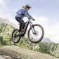 Audi electric mountain bike - Aimoptic