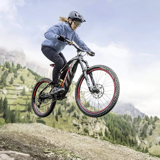 Audi electric mountain bike - Aimoptic