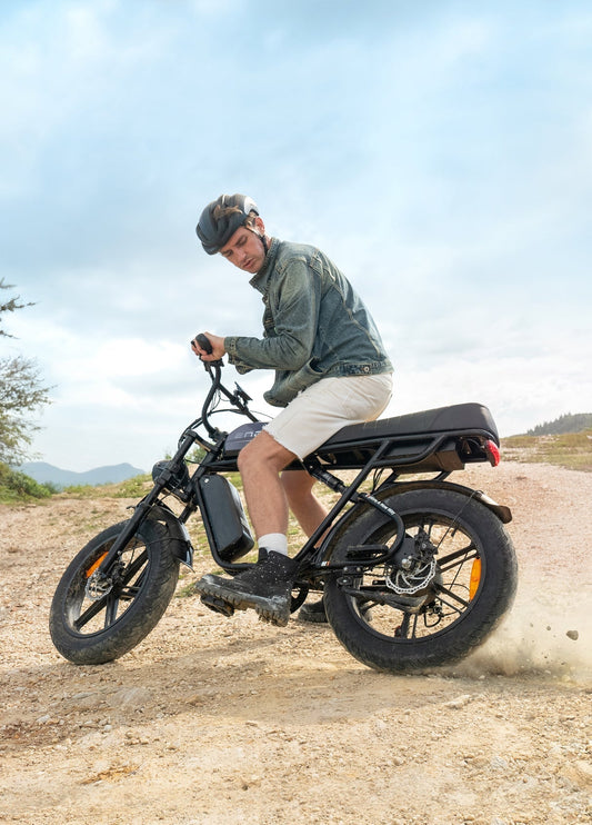 ENGWE M1 EU - Standard 65Nm Torque Motorcycle - styled E - bike - Aimoptic