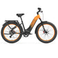 Lankeleisi MG600 Plus 2025 Version 26" Fat Bike 960Wh All Terrain SUV E - Bike with Torque Sensor 48V 20Ah Battery - Aimoptic
