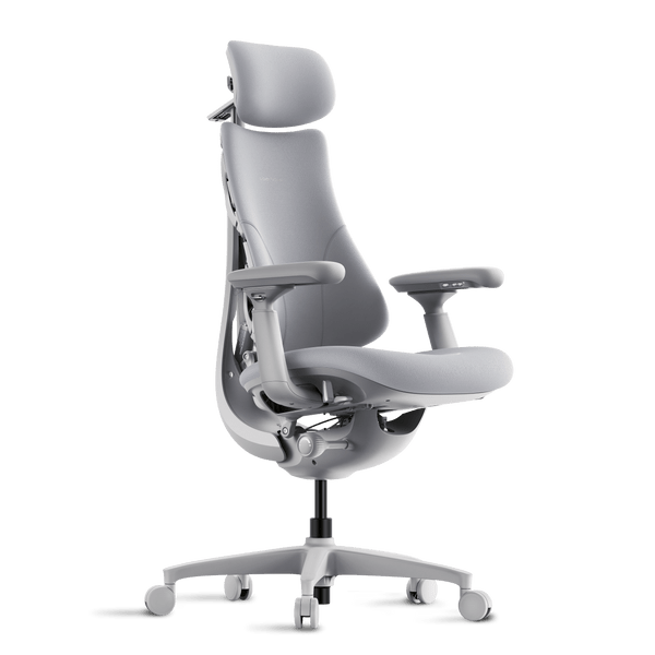 LiberNovo Omni Dynamic Ergonomic Chair - Aimoptic