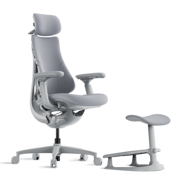 LiberNovo Omni Dynamic Ergonomic Chair - Aimoptic