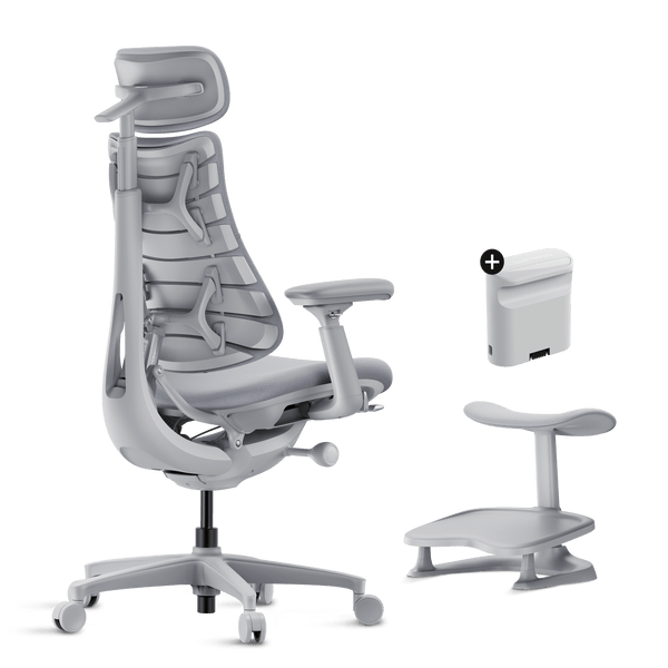 LiberNovo Omni Dynamic Ergonomic Chair - Aimoptic