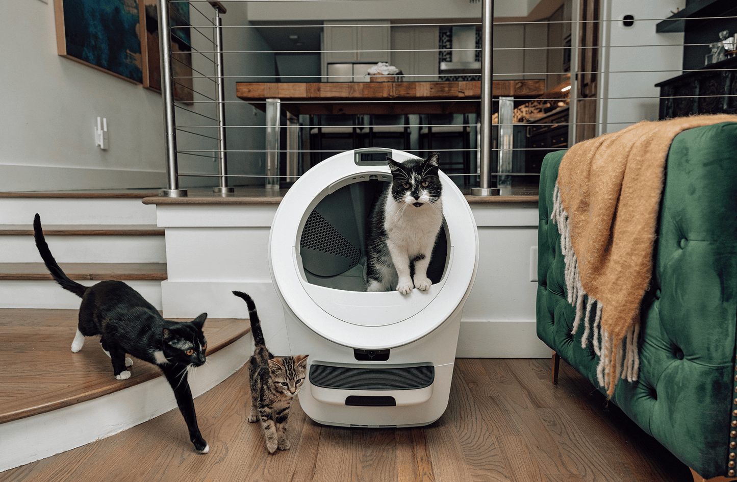 Litter - Robot® 5 Pro - Aimoptic