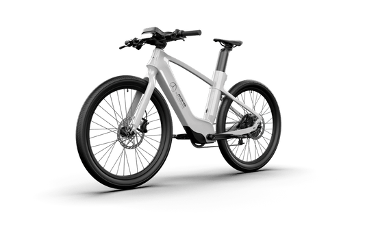 Mercedes - AMG PETRONAS F1® Team Rallye Edition 250 Electric Bike - Aimoptic