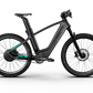 Mercedes - AMG PETRONAS F1® Team Rallye Edition 250 Electric Bike - Aimoptic