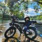 TST® R002 20'' 1500W Full Suspension Moped - style Electric Bike - Aimoptic