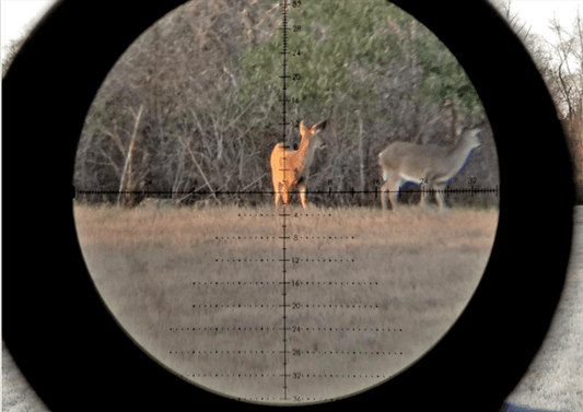 HD 4X16X50 Rifle Scope - Aimoptic