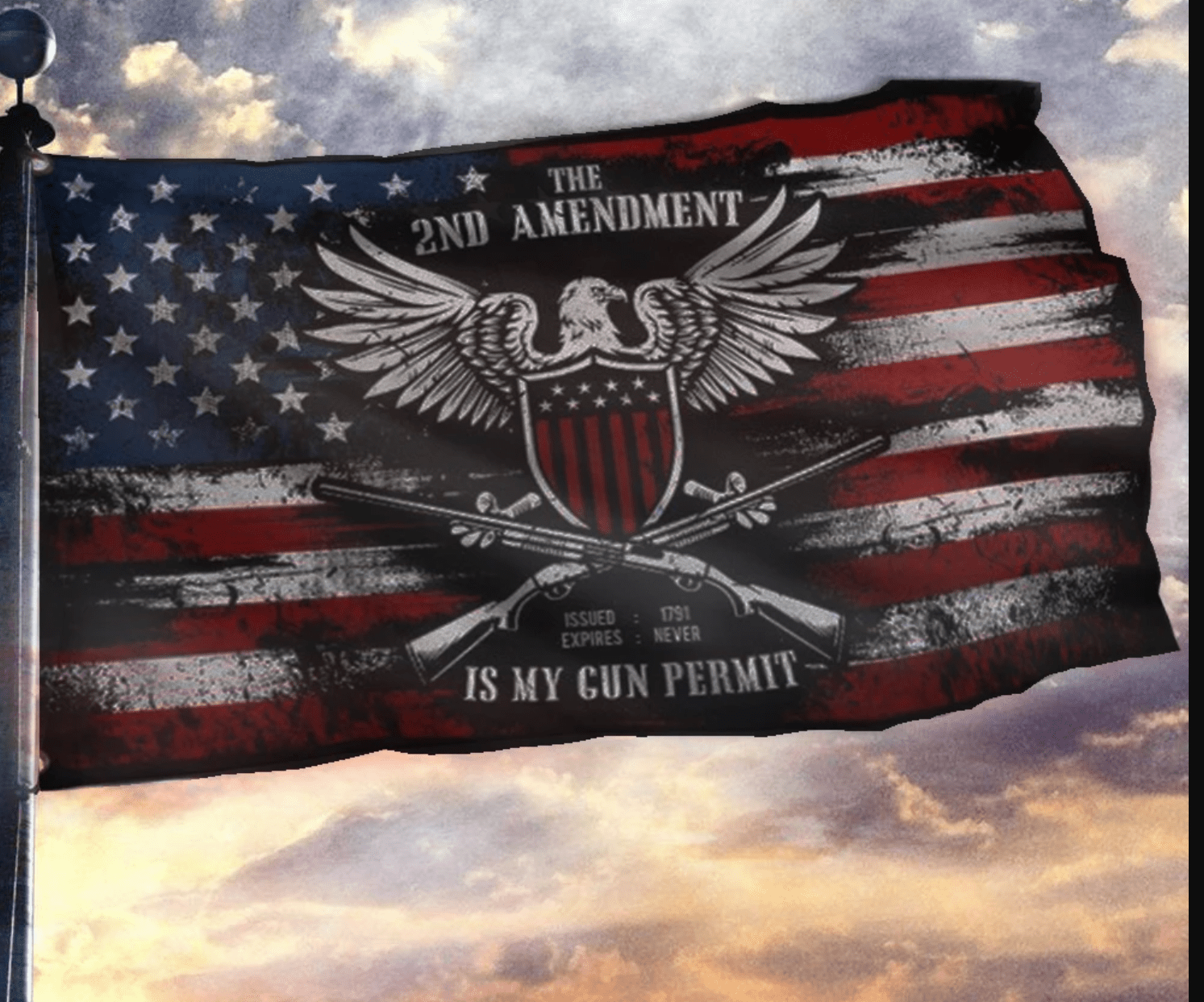 The 2nd Amendment is My Permit Flag - 3' x 5' - Aimoptic